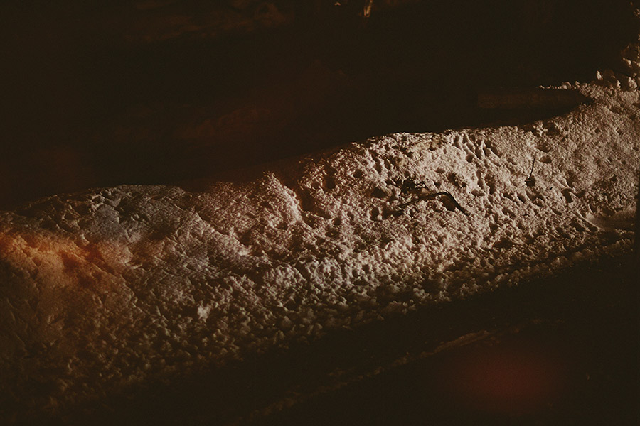 81